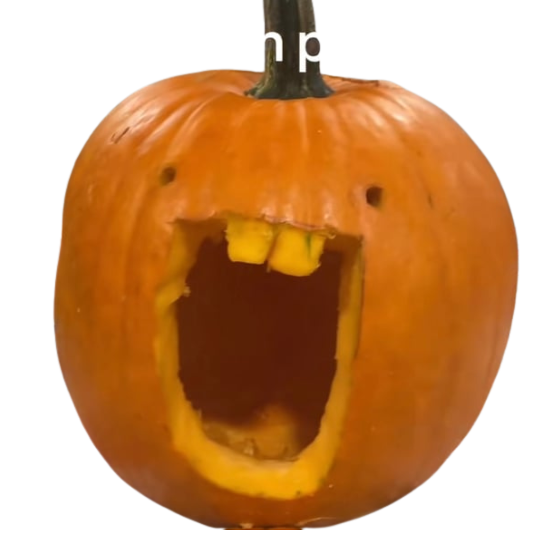 dumb ahh pumpkin